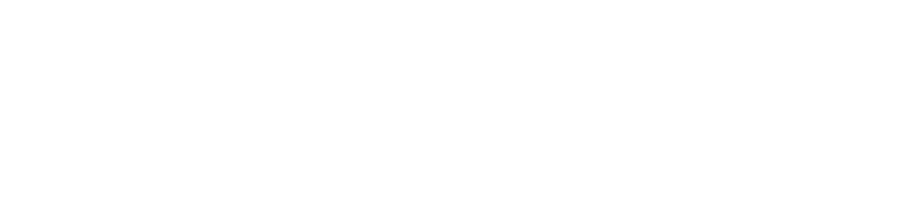 FENETRE Plise Perde